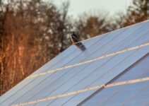 Do Solar Panels Void Roof Warranty? (Analysis)