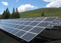 How Do Solar Panels Help the Environment?